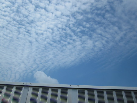 c0180581_2025358.jpg