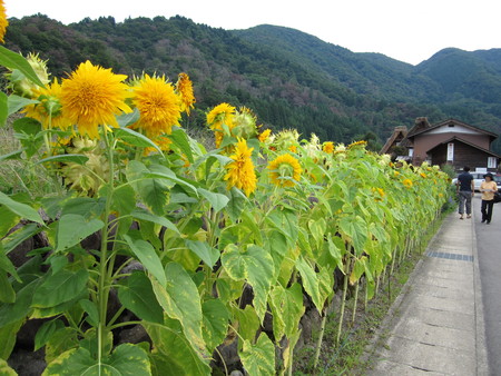 c0180581_2030265.jpg
