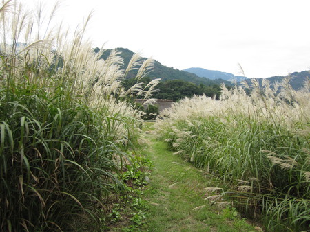 c0180581_20313372.jpg
