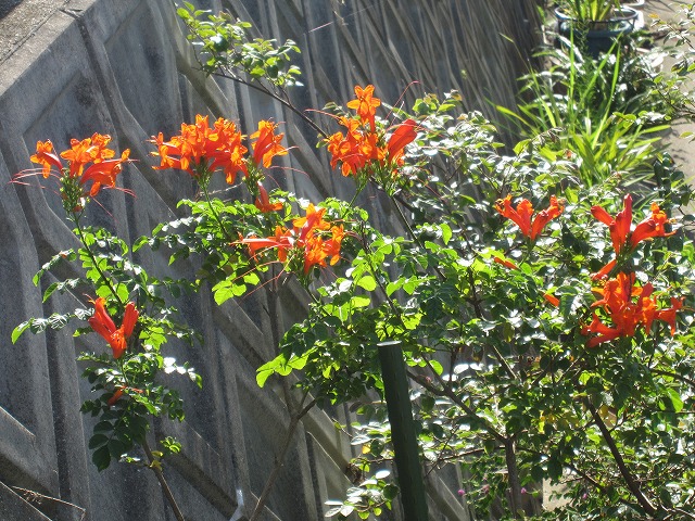 b0182884_8164050.jpg