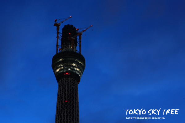 東京 スカイツリー へ写真散歩♪_d0158191_1012191.jpg