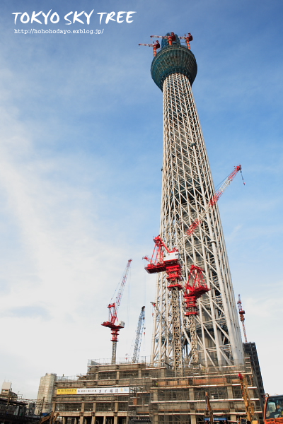 東京 スカイツリー へ写真散歩♪_d0158191_20565163.jpg