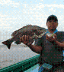e0147297_12565377.gif