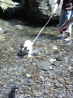 f0017897_1053121.jpg