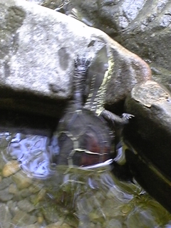 f0017897_1072024.jpg