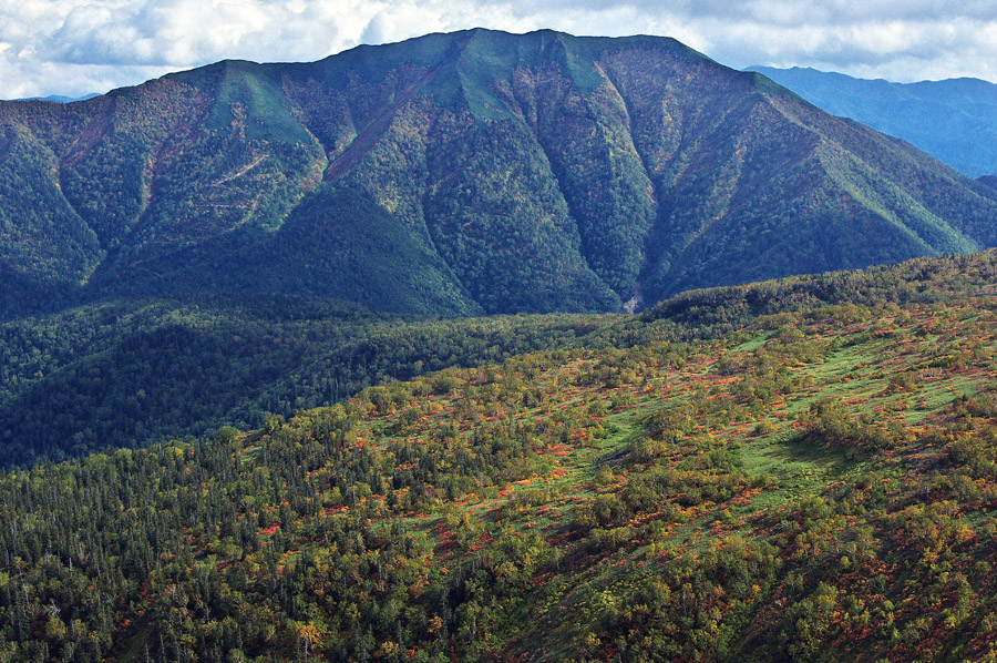 今年の紅葉はいかに　　平山～比麻良山　　2010.9.20_f0200402_14251346.jpg