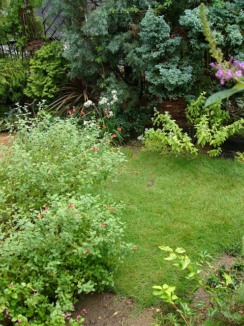 a0123003_20354186.jpg