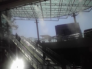 空中ミストシャワー!_d0050503_9381280.jpg