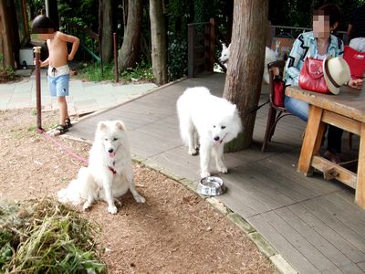 d0149103_16455894.jpg