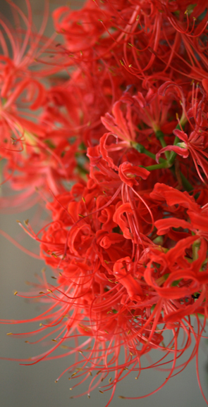 b0208604_9251229.jpg
