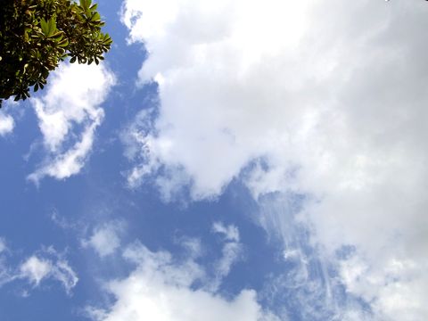 e0117805_203794.jpg
