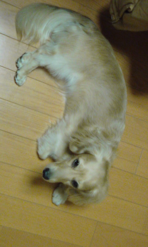 f0224506_1449274.jpg