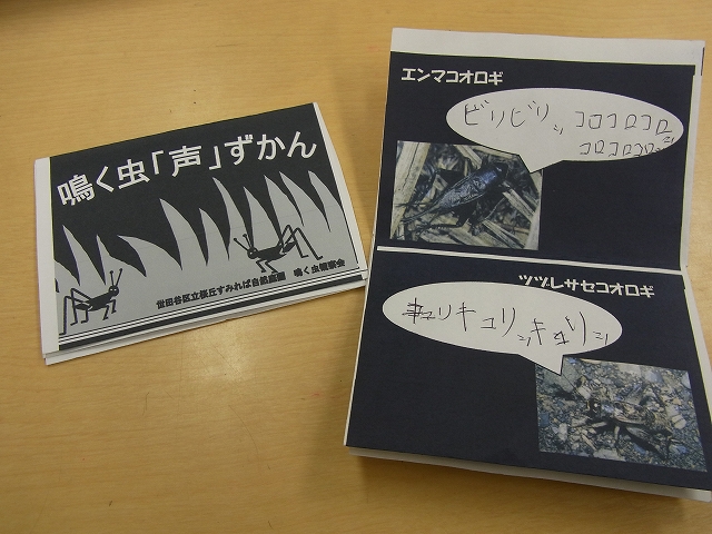 鳴く虫観察会_b0049307_16333768.jpg