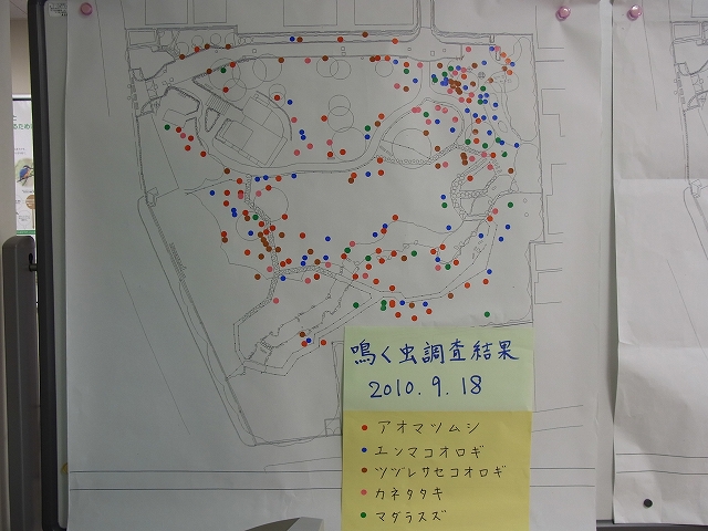鳴く虫観察会_b0049307_16543038.jpg