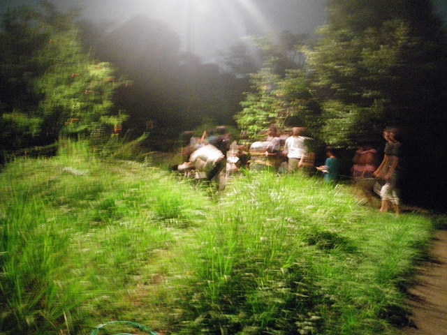 鳴く虫観察会_b0049307_16552673.jpg