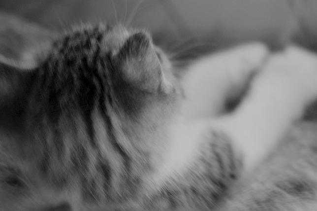 秋分の日_f0155808_13351044.jpg