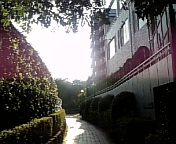 b0025511_142537.jpg
