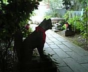 b0025511_142550.jpg