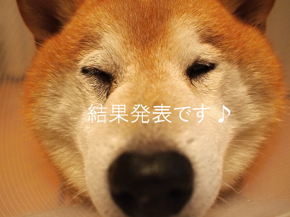 速報!当選者の発表です☆_e0005411_1925728.jpg