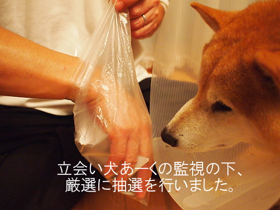 速報!当選者の発表です☆_e0005411_1933798.jpg