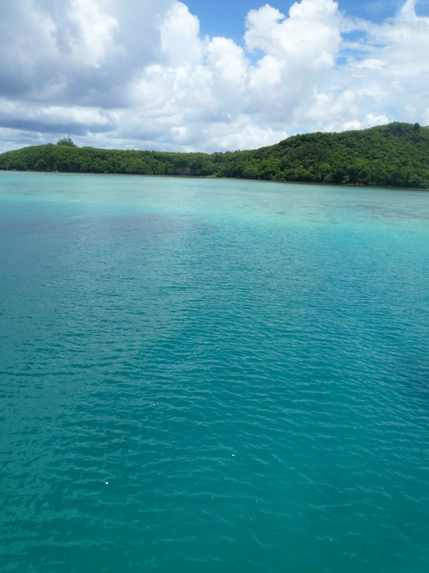 a0103914_21402659.jpg