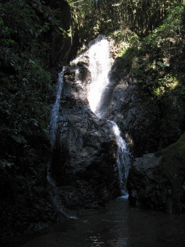 e0117318_238478.jpg