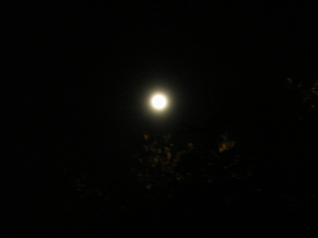 c0124619_66427.jpg