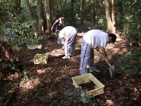 腐葉土を集めて土づくり_f0224320_16395147.jpg