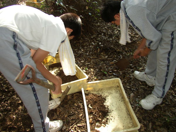 腐葉土を集めて土づくり_f0224320_16404977.jpg