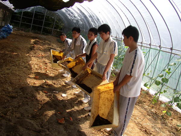 腐葉土を集めて土づくり_f0224320_1641659.jpg