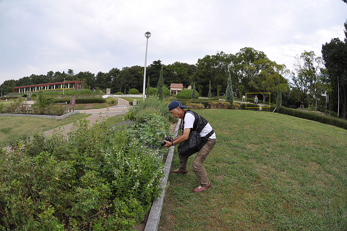 緑地公園と愉快な仲間_c0167821_1461492.jpg