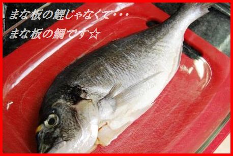 鯛のオーブン焼き☆オリーブオイルおろしだれ_d0104926_2357579.jpg