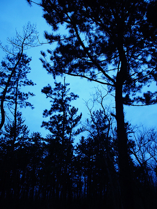 c0204031_90158.jpg