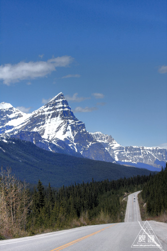 063 Waterfowl Lake ~水鳥はいなかったが~_c0211532_13523183.jpg