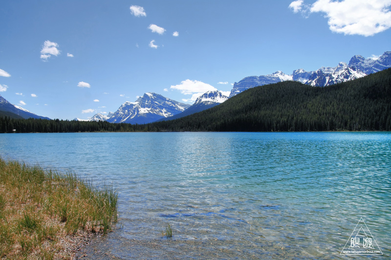 063 Waterfowl Lake ~水鳥はいなかったが~_c0211532_13534737.jpg