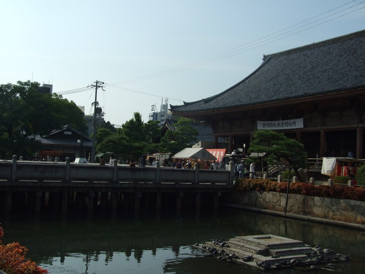 d0178432_15451630.jpg