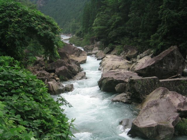 c0113733_8234178.jpg