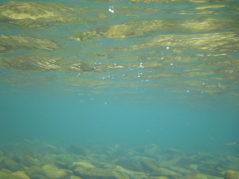 c0113733_8283884.jpg