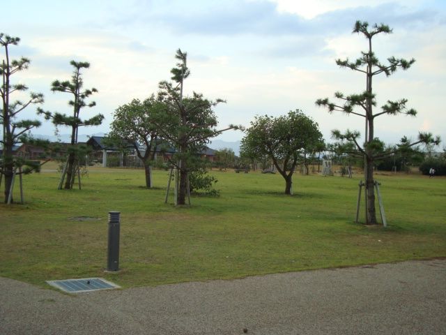 e0060041_6305978.jpg