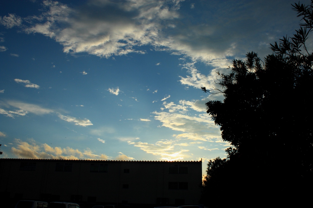 a0133142_2102862.jpg