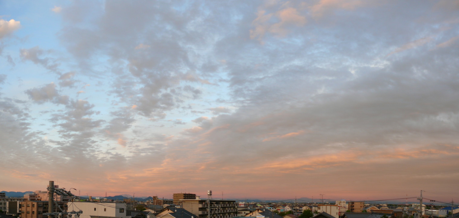 b0088444_203728100.jpg