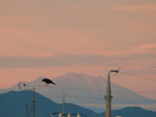 b0088444_2040153.jpg