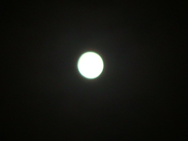 中秋の名月_b0097645_92525.jpg