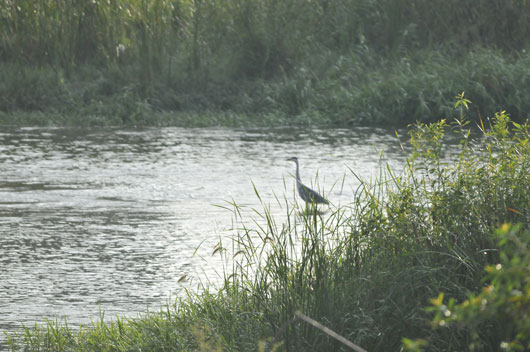 c0093046_8233769.jpg