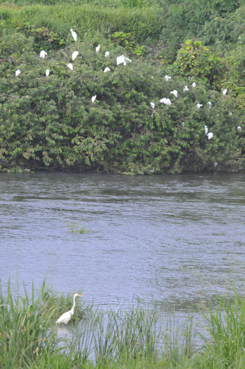 c0093046_824269.jpg