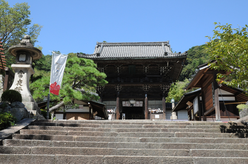 奈良のポコ旅：#2 ズンズン長谷寺 [仁王門〜登廊]。_d0018646_16544173.jpg