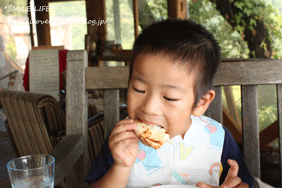 e0182147_6132722.gif
