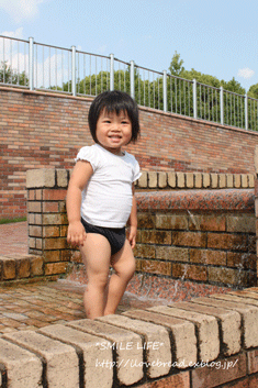 e0182147_6253596.gif