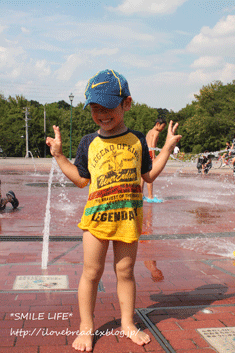 e0182147_6275945.gif