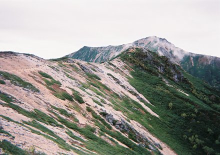 d0177849_13455337.jpg